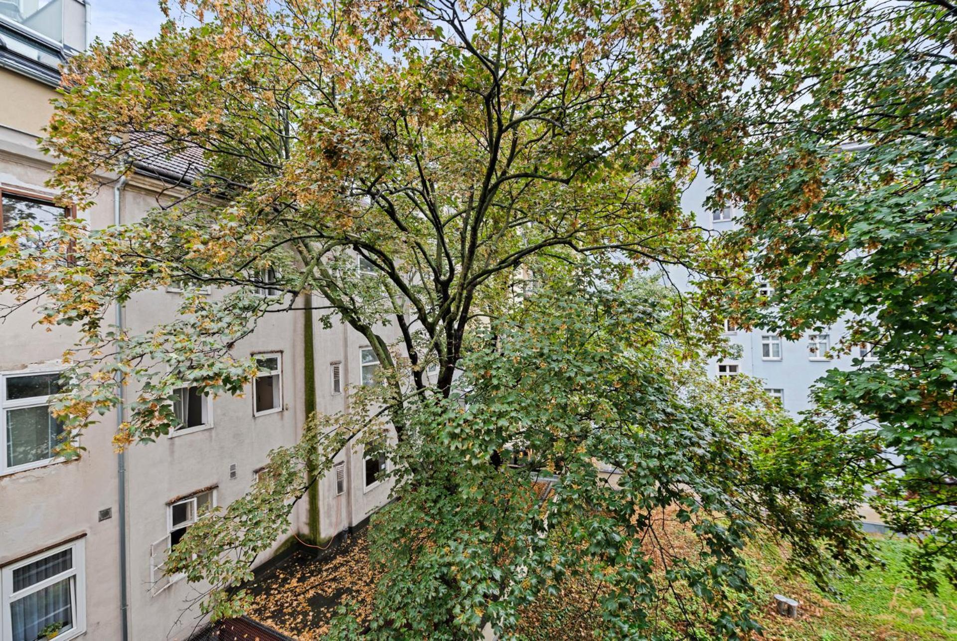 Cozy, Generous City Apartment - 10 Min To City-Centre - Contactless 24H Check-In Vienna Exterior photo